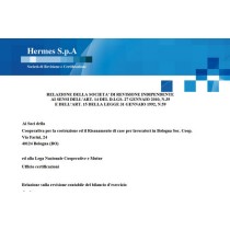 Relazione sulla revisione contabile del bilancio d'esercizio
